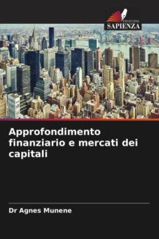 Kniha Approfondimento finanziario e mercati dei capitali 