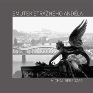 Kniha Smutek strážného anděla Michal Beredzas