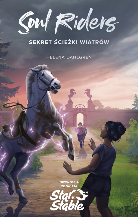 Buch Soul Riders Sekret Ścieżki Wiatrów Dahlgren Helena