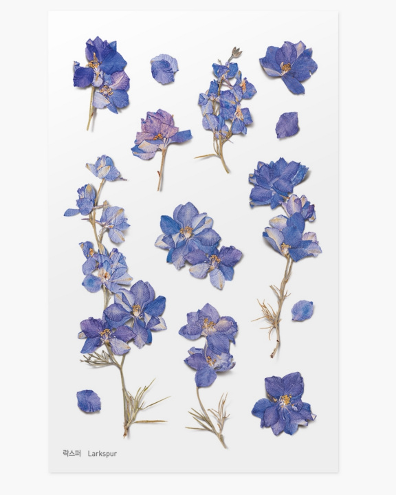 Papírszerek Naklejki ozdobne kwiaty Ostróżka 