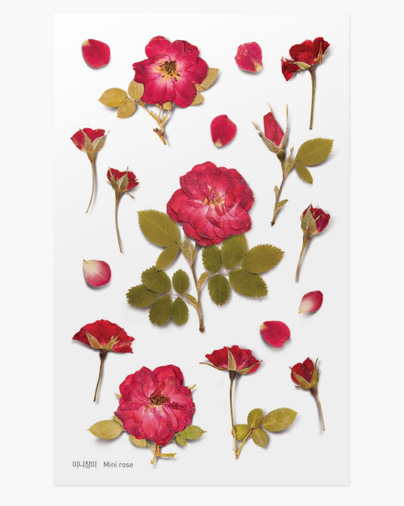 Papírszerek Naklejki ozdobne kwiaty Róże 