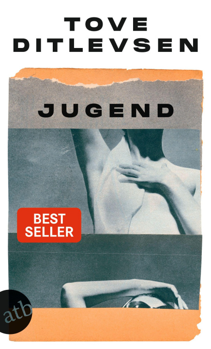 Knjiga Jugend Ursel Allenstein