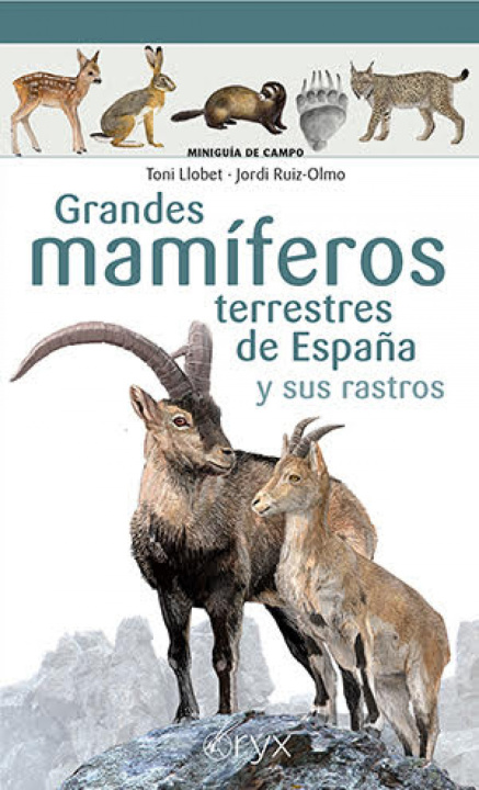 Carte Grandes mamíferos terrestres de España y sus rastros TONI LLOBET