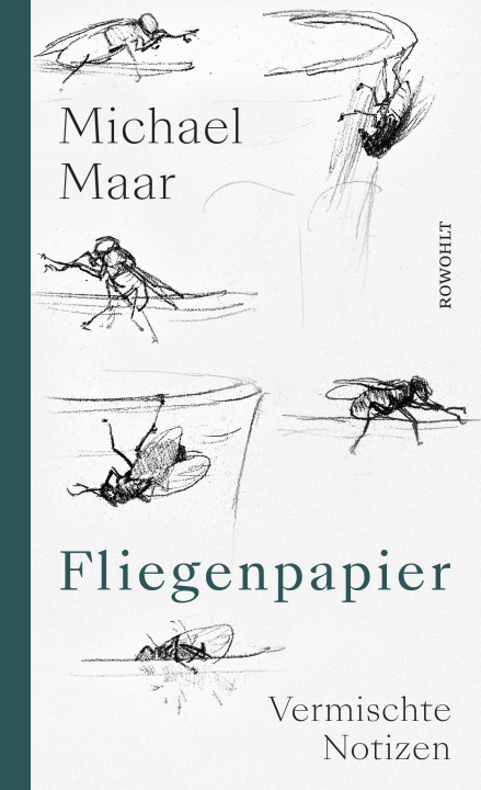 Boek Fliegenpapier Michael Maar