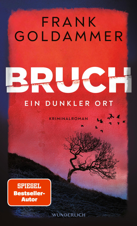Knjiga Bruch Frank Goldammer