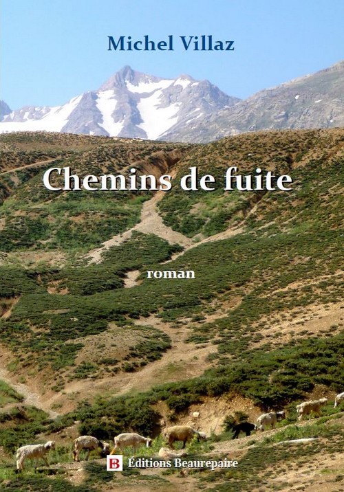 Kniha Chemins de fuite Villaz