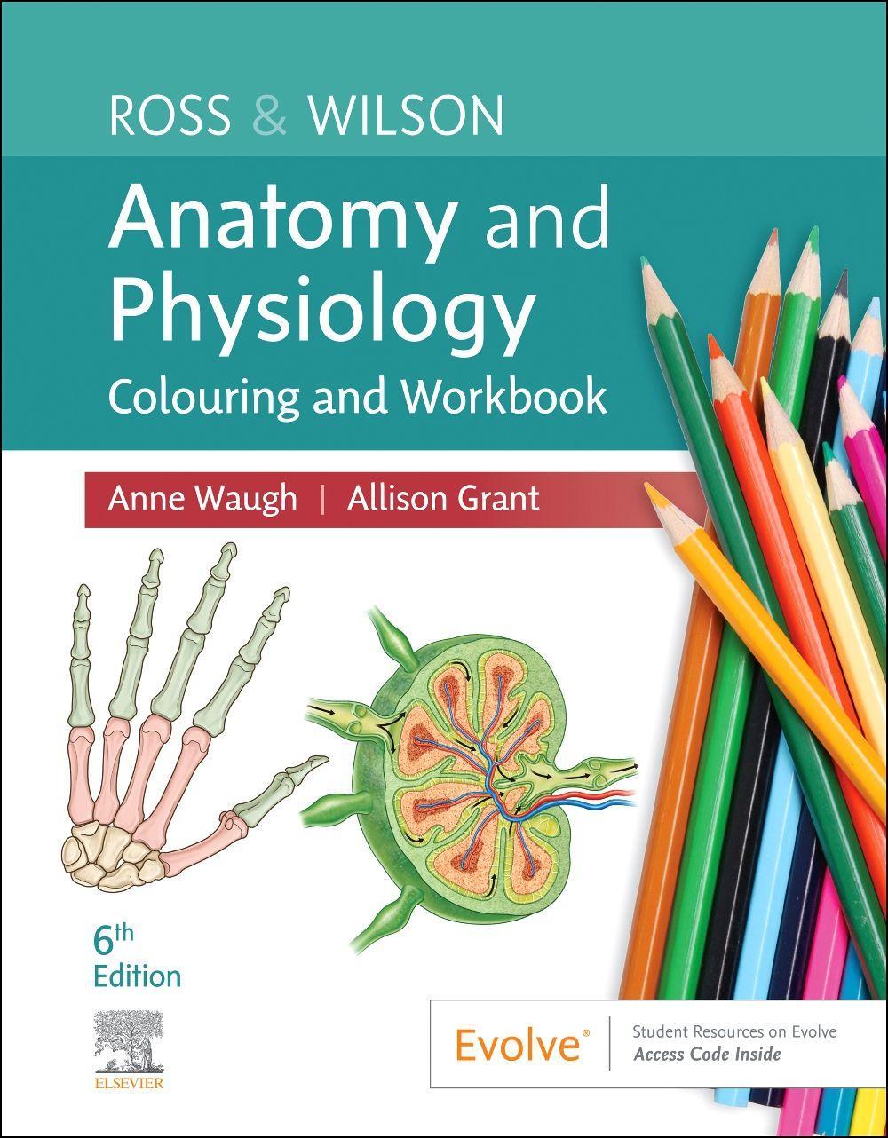 Kniha Ross & Wilson Anatomy and Physiology Colouring and Workbook Anne Waugh