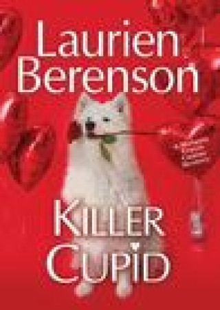 Book Killer Cupid Berenson