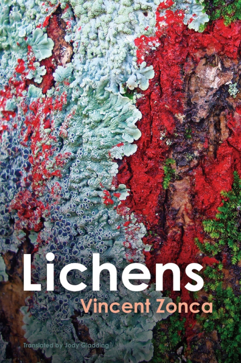 Kniha Lichens - Toward a Minimal Resistance 