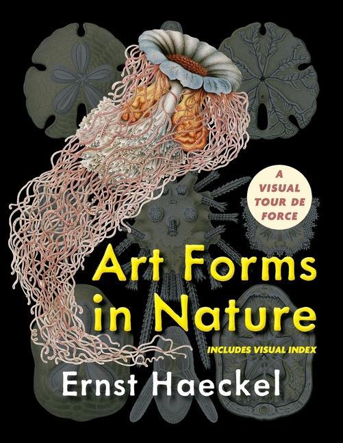 Книга Art Forms in Nature (Dover Pictorial Archive) 