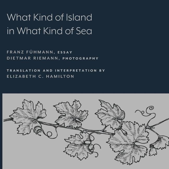 Buch What Kind of Island in What Kind of Sea? Elizabeth C. Hamilton