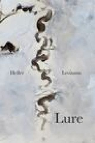 Book Lure Levinson