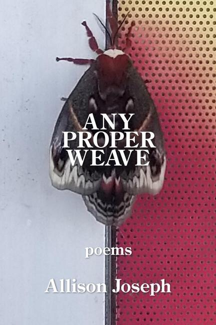 Knjiga Any Proper Weave Allison Joseph