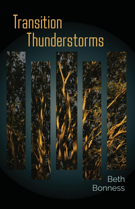 Knjiga Transition Thunderstorms Beth Bonness