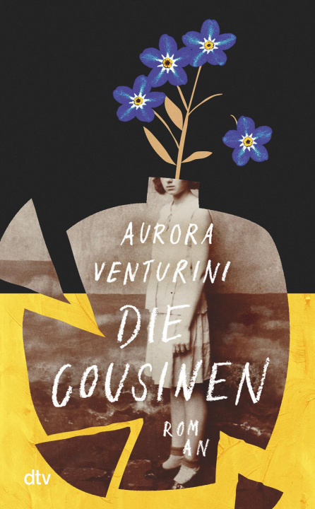 Kniha Die Cousinen Johanna Schwering