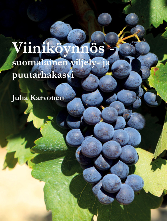 Carte Viiniköynnös - suomalainen viljely- ja puutarhakasvi 