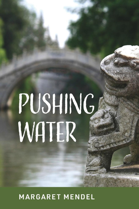 Boek Pushing Water Margaret Mendel