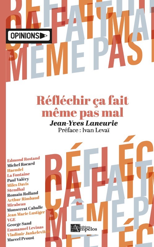 Knjiga Réfléchir ça fait même pas mal Laneurie