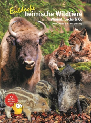 Książka Entdecke heimische Wildtiere Moritz Klose