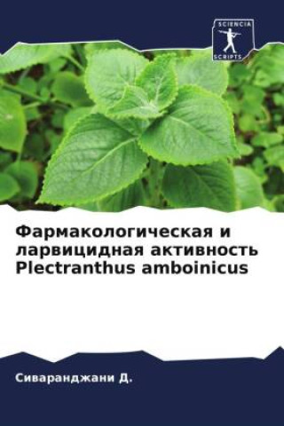 Carte Farmakologicheskaq i larwicidnaq aktiwnost' Plectranthus amboinicus 
