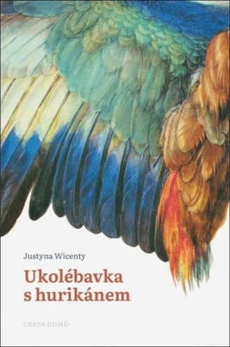 Kniha Ukolébavka s hurikánem Justyna Wicenty