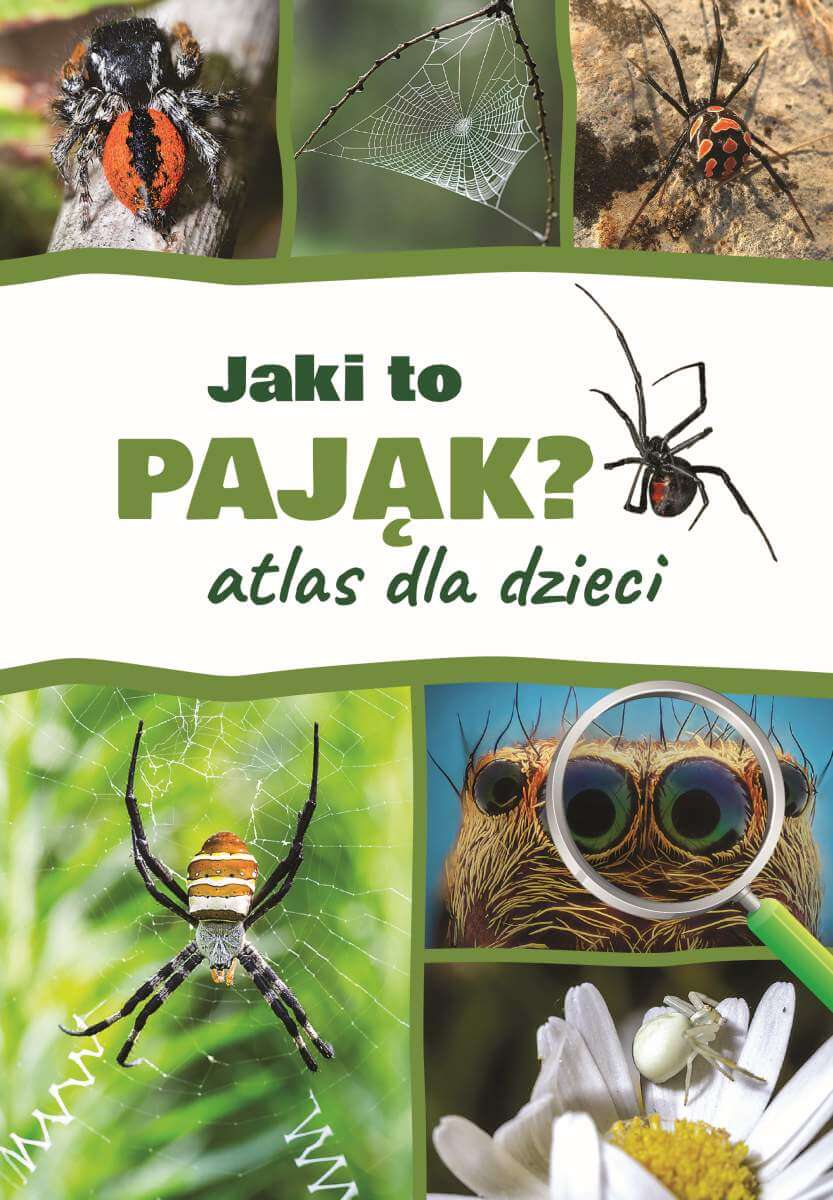 Könyv Jaki to pająk? Atlas dla dzieci Jacek Twardowski
