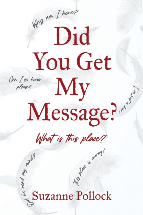 Buch Did You Get My Message? Suzanne Pollock