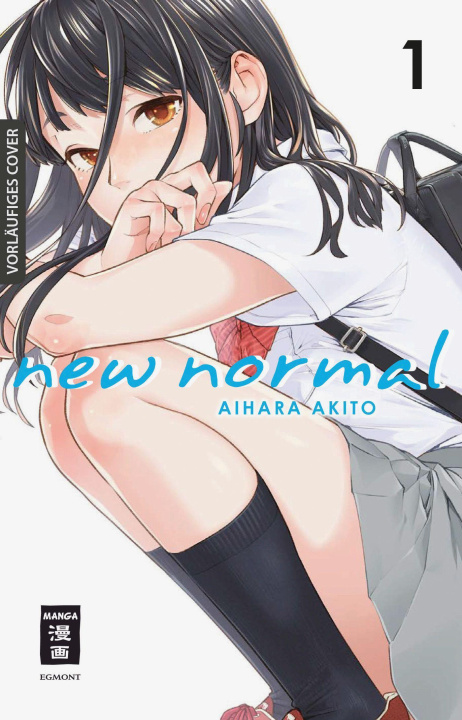 Kniha New Normal 01 Akito Aihara