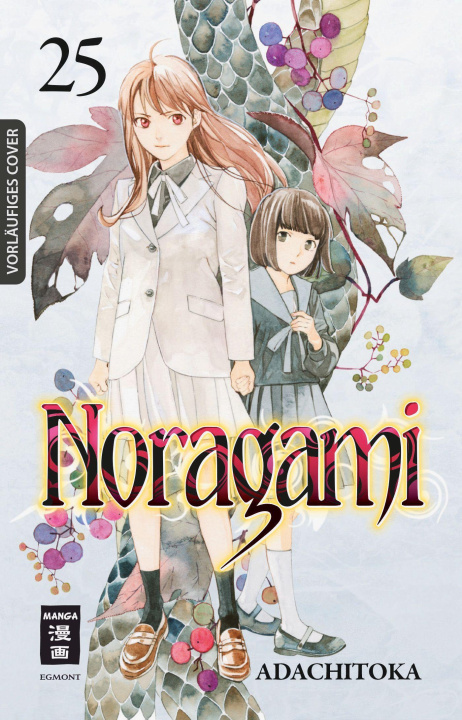 Könyv Noragami 25 Adachitoka