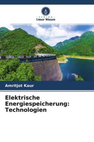 Kniha Elektrische Energiespeicherung: Technologien 