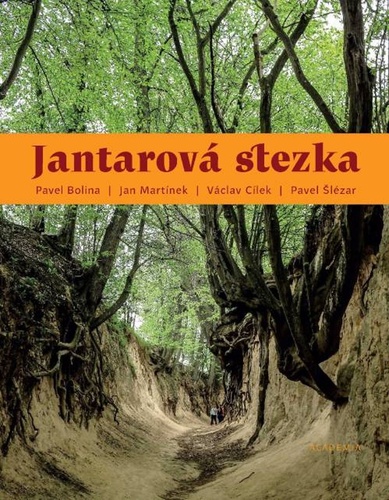 Könyv Jantarová stezka Jan Martínek