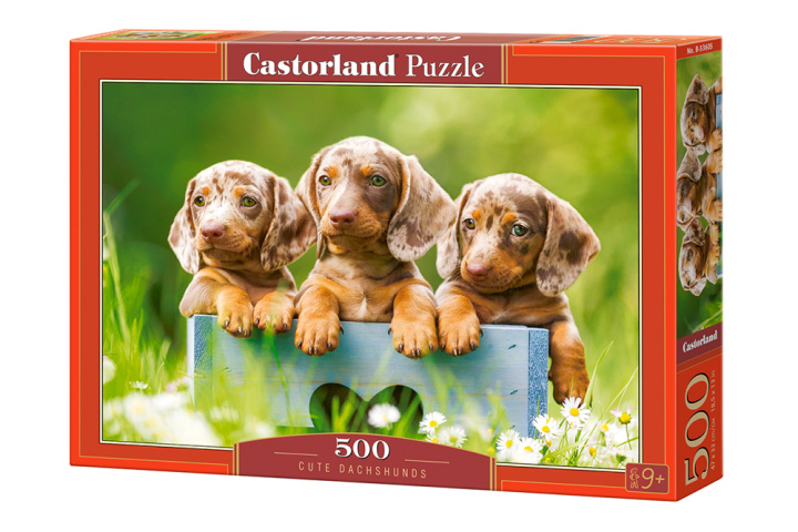 Carte Puzzle 500 Urocze jamniki B-53605 