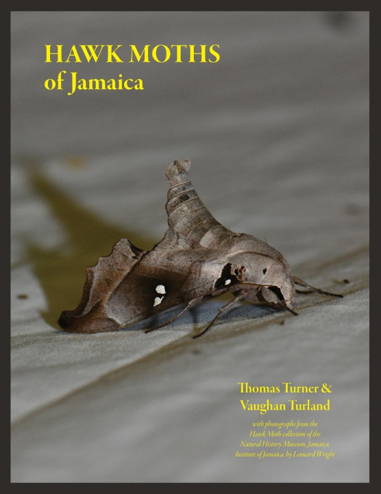 Carte Hawk Moths of Jamaica 