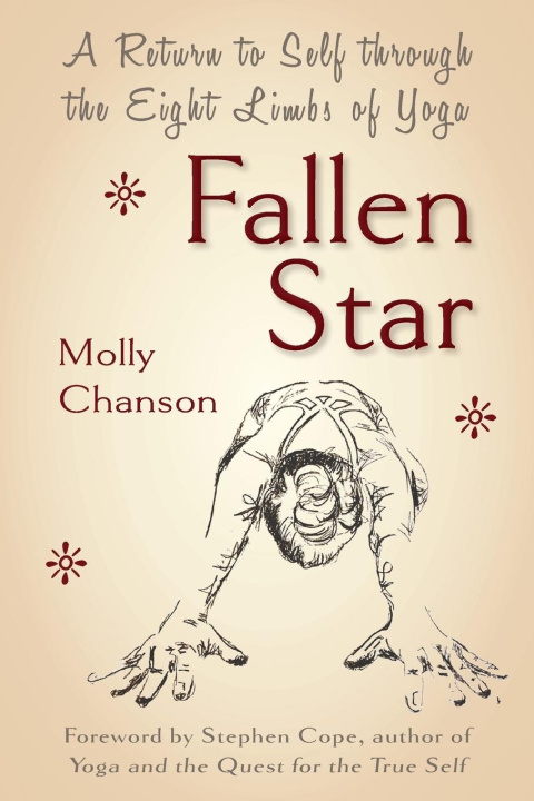 Knjiga Fallen Star Molly Chanson