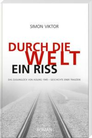 Knjiga Durch die Welt ein Riss Simon Viktor
