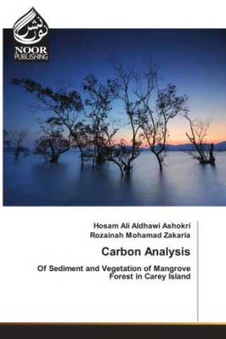 Knjiga Carbon Analysis Rozainah Mohamad Zakaria