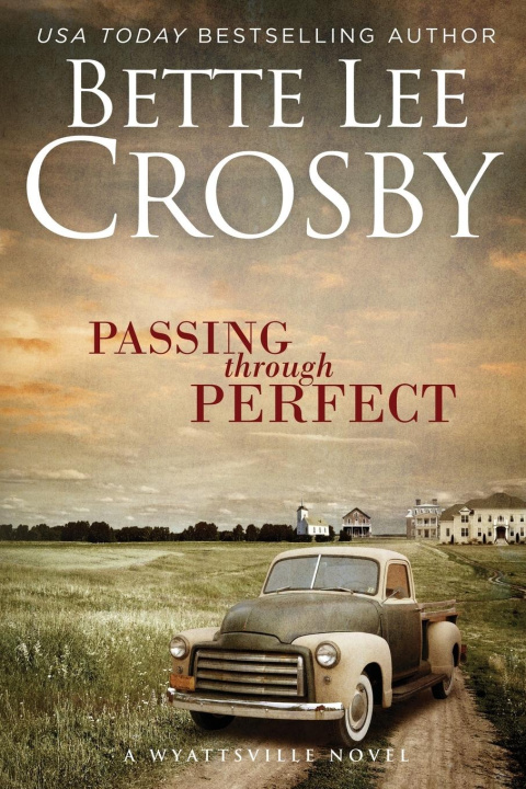 Kniha Passing Through Perfect Bette Lee Crosby