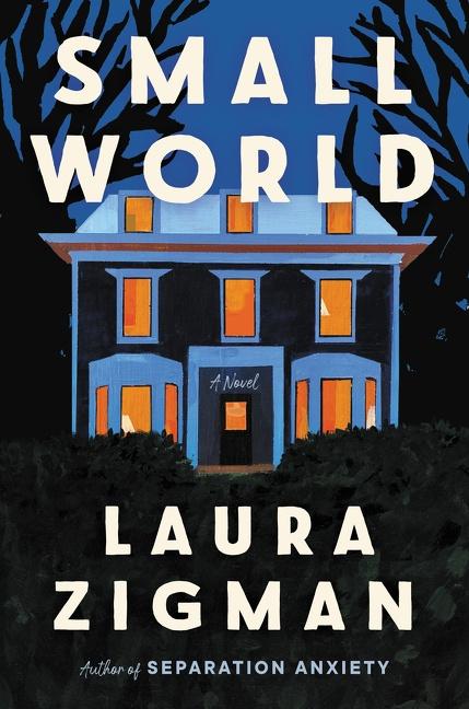 Book Small World Laura Zigman