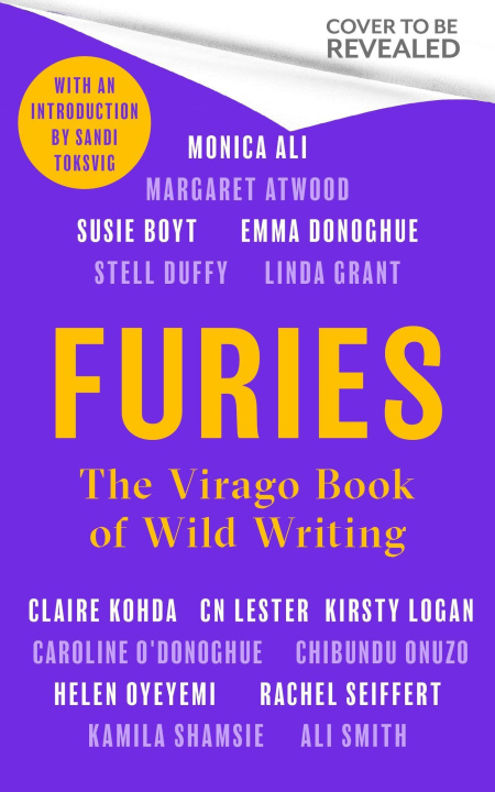 Book Furies Stella Duffy