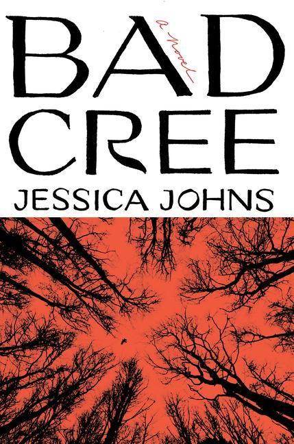 Kniha Bad Cree Johns