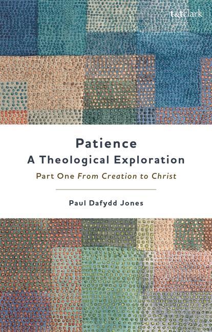 Knjiga Patience-A Theological Exploration Jones