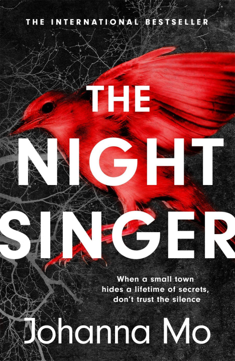 Buch Night Singer Johanna Mo