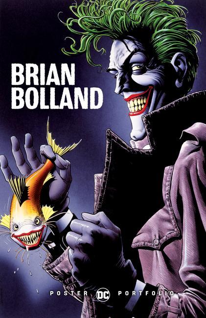 Kniha DC Poster Portfolio: Brian Bolland Brian Bolland