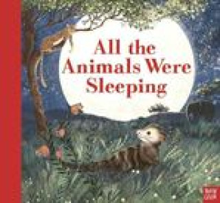 Kniha All the Animals Were Sleeping Jenny Lovlie