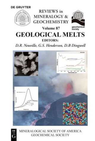 Knjiga Geological Melts Daniel R. Neuville