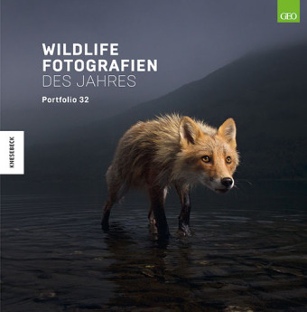 Könyv Wildlife Fotografien des Jahres - Portfolio 32 Natural History Museum