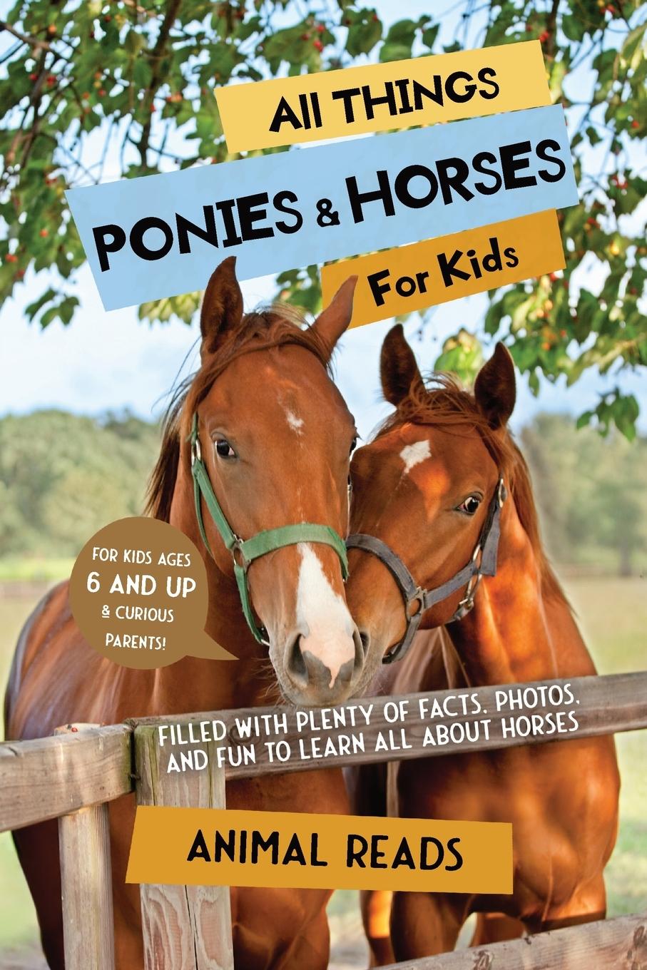 Könyv All Things Ponies & Horses For Kids 