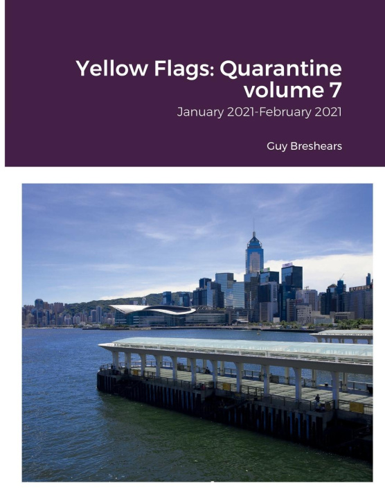 Book Yellow Flags Guy Breshears