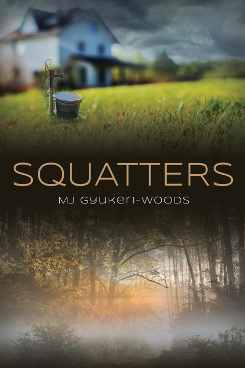 Knjiga Squatters MJ Gyukeri-Woods