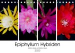 Naptár/Határidőnapló Epiphyllum-Hybriden (Tischkalender 2023 DIN A5 quer) Steffen Gierok